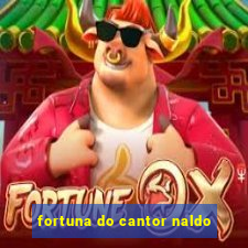 fortuna do cantor naldo